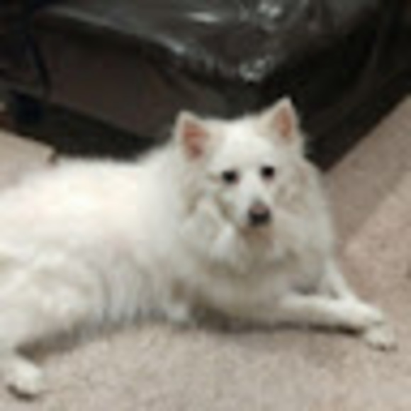 Meet your Posher, David - Picture 1 of 1